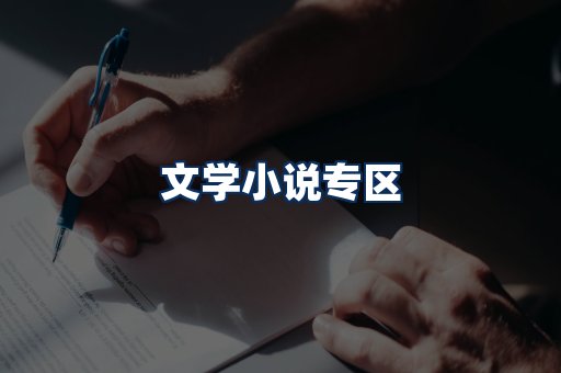 文学小说PDF展示